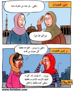  كاريكاتور حول الحجاب...........نااااار Gen02